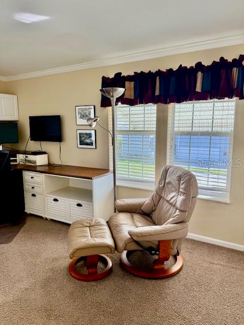 11082 SUNBURST LANE, Fort Myers, FL 33908