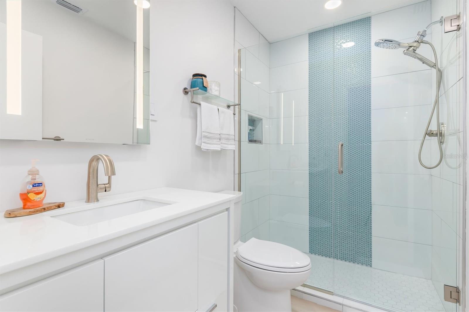 Guest bath with gracious shower