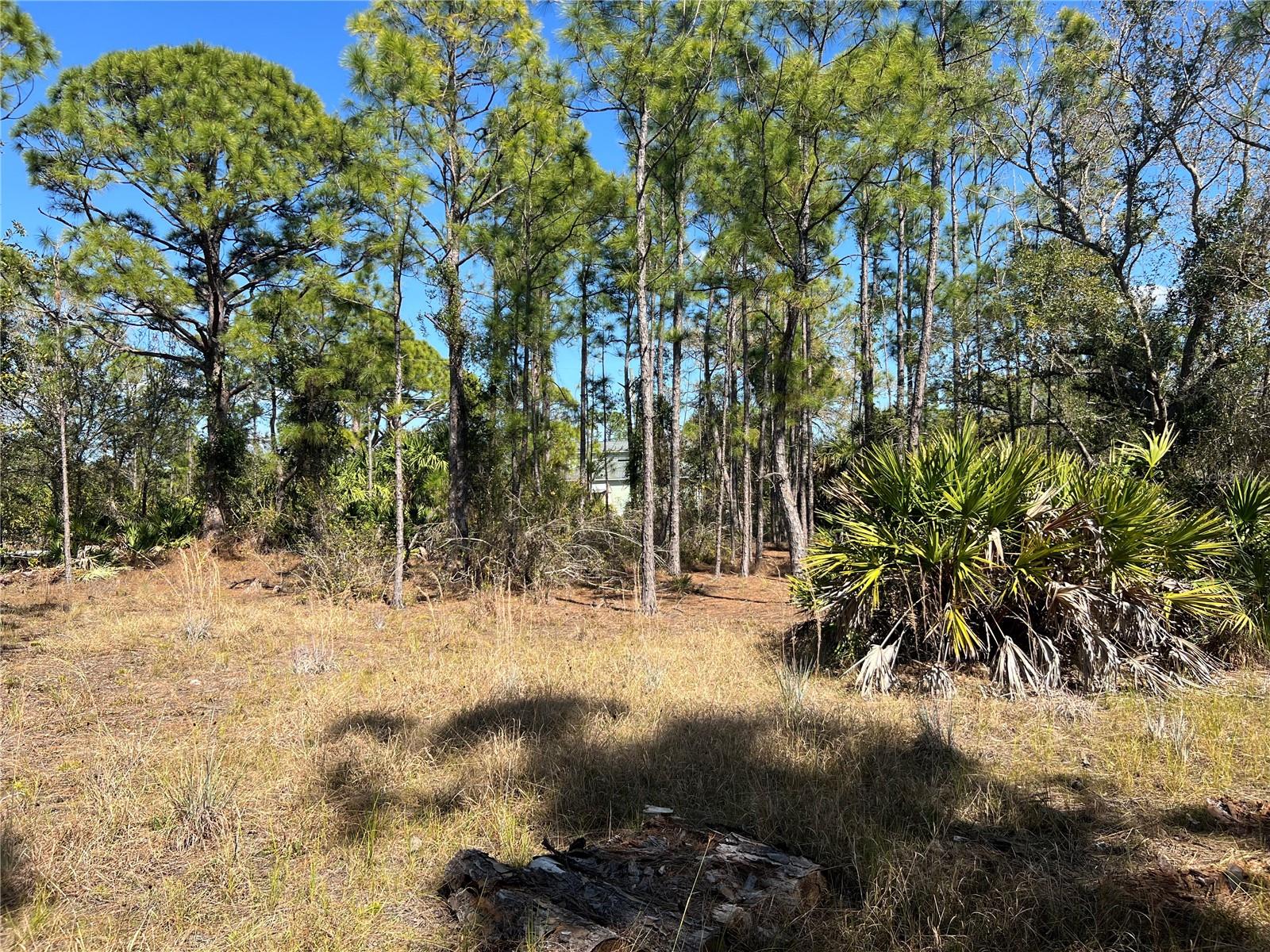 28019 TREADMILL DRIVE, Punta Gorda, FL 33955