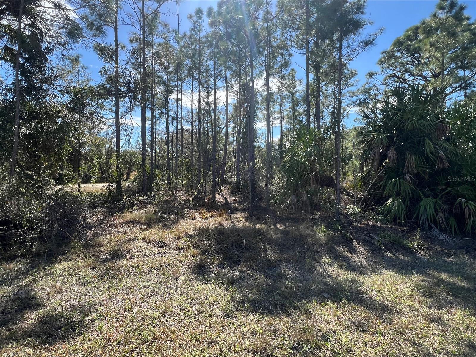 28019 TREADMILL DRIVE, Punta Gorda, FL 33955
