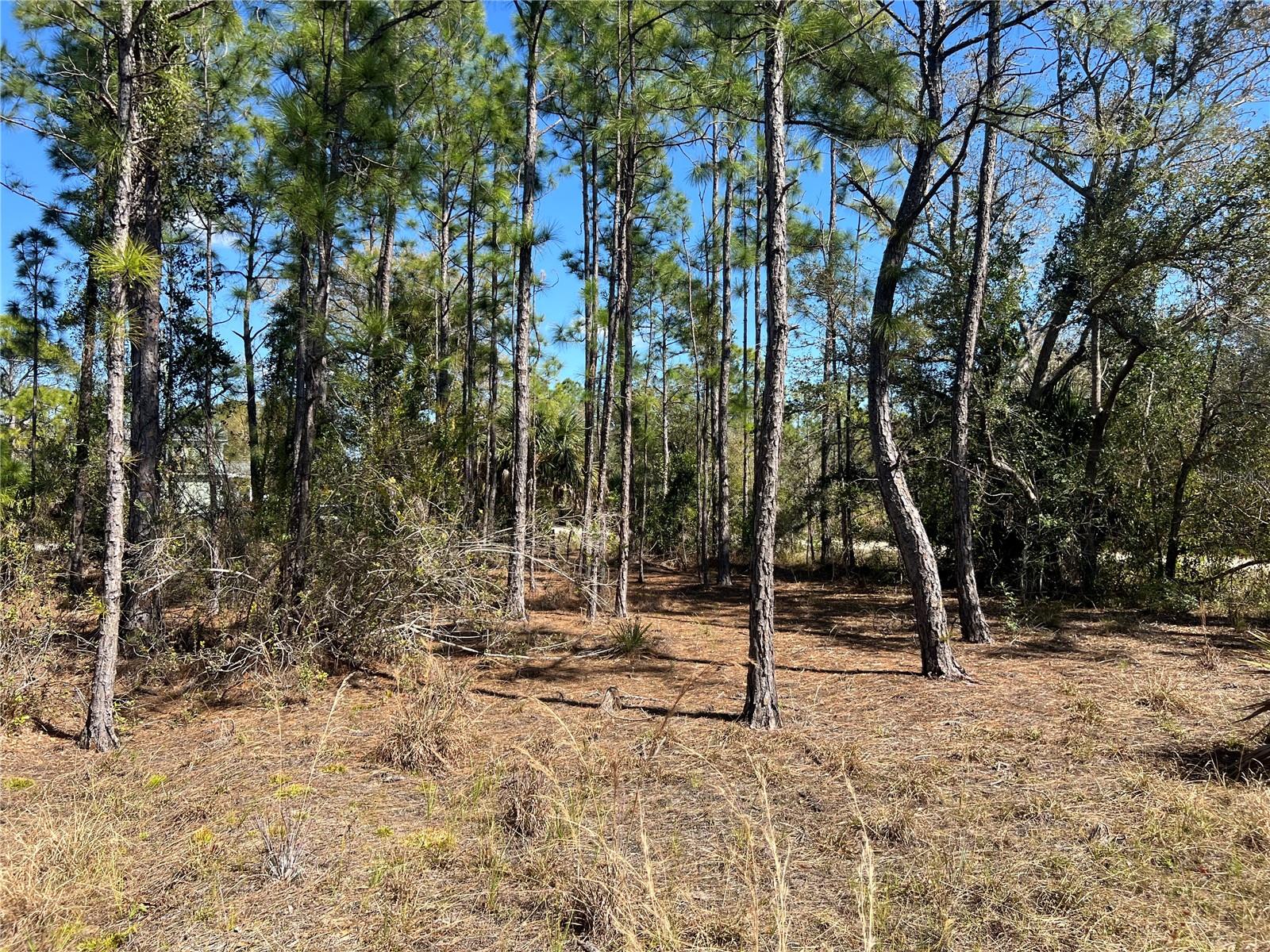 28019 TREADMILL DRIVE, Punta Gorda, FL 33955