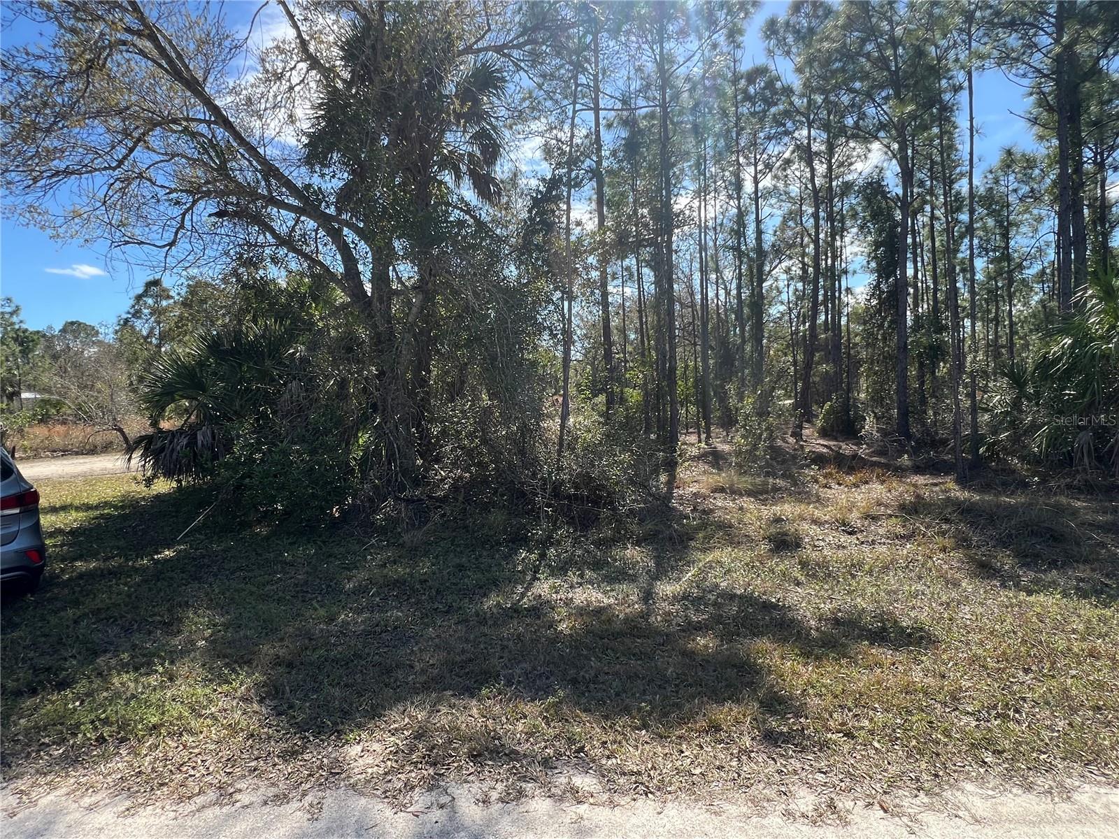 28019 TREADMILL DRIVE, Punta Gorda, FL 33955