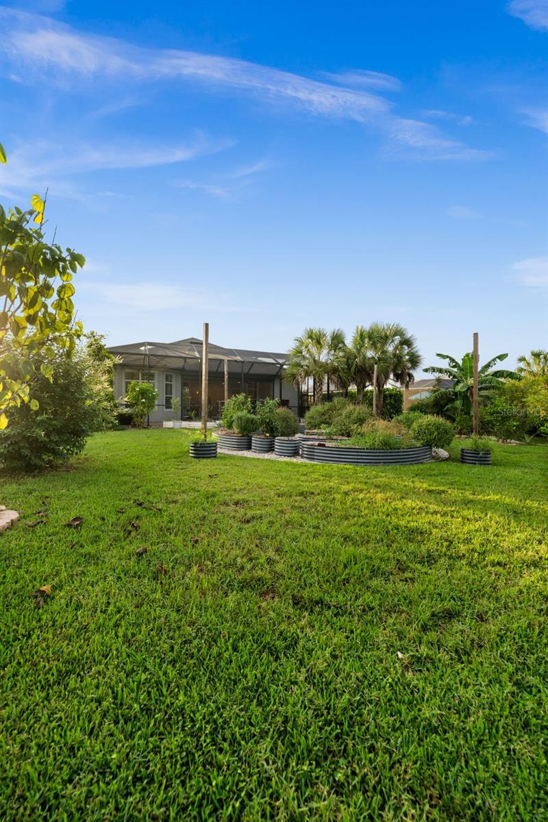 Outdoor Garden