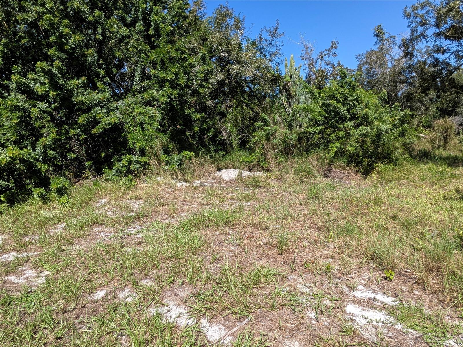 LEMON ROAD NW, Lake Placid, FL 33852