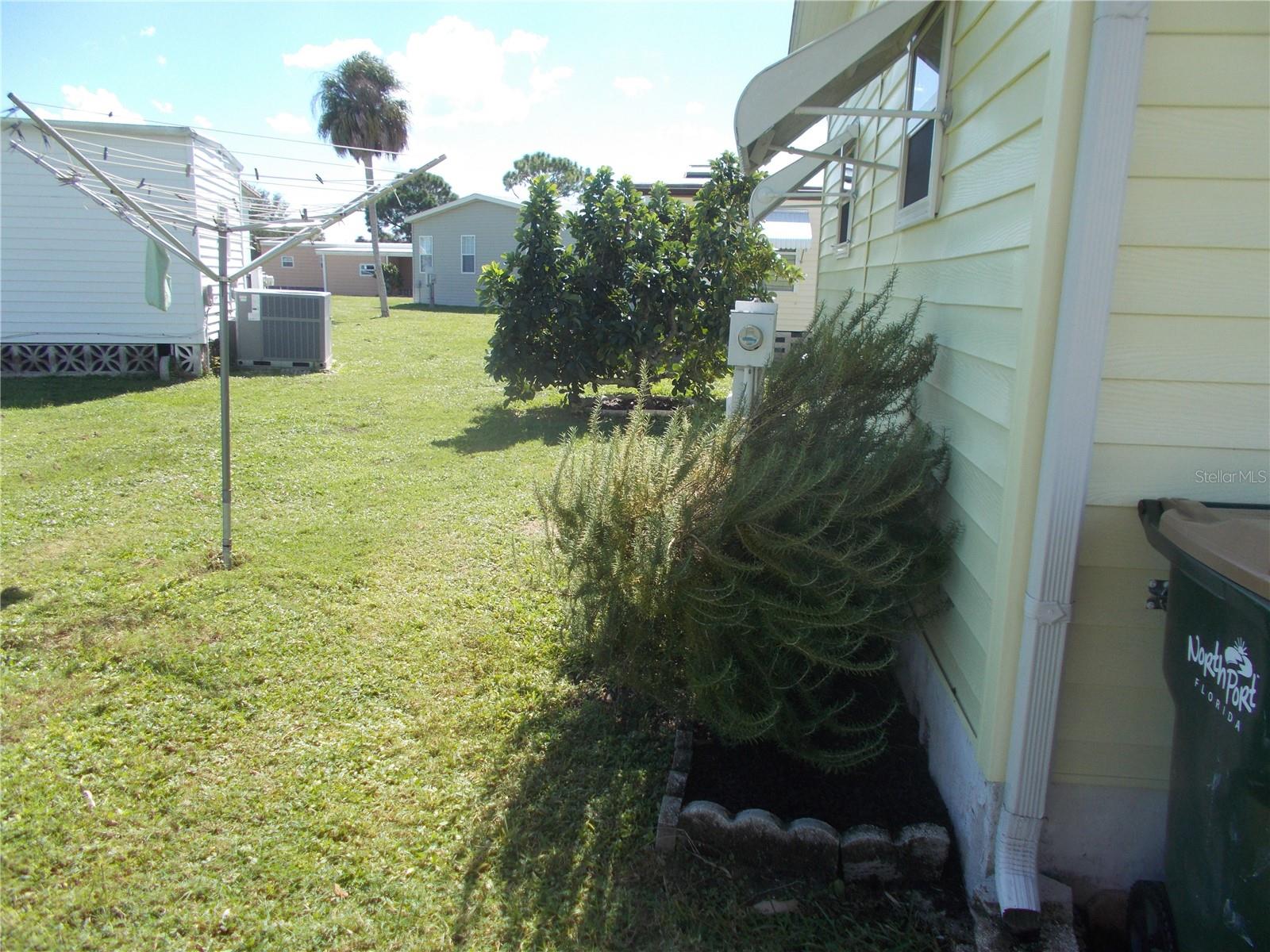 Yard
