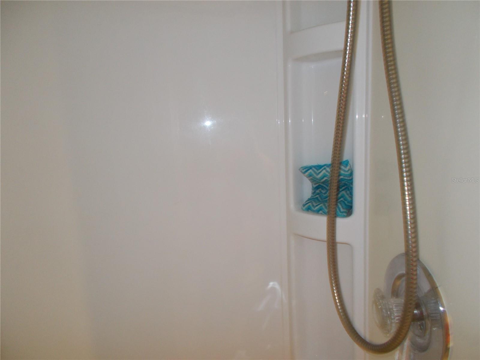 Primary Bathroom Shower