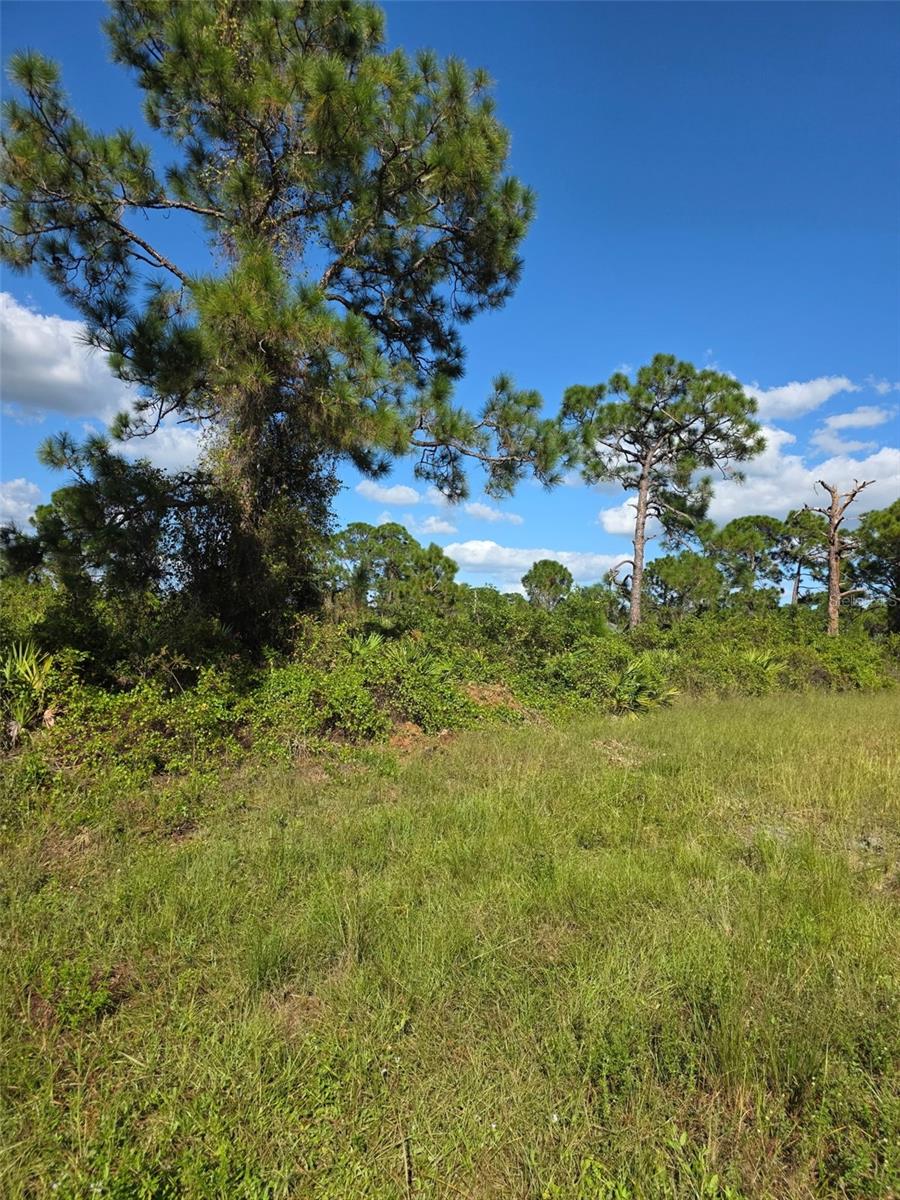 1115 JAGUAR BOULEVARD, Lehigh Acres, FL 33974