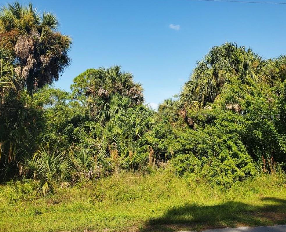 12274 DEFENDER DRIVE, Port Charlotte, FL 33953