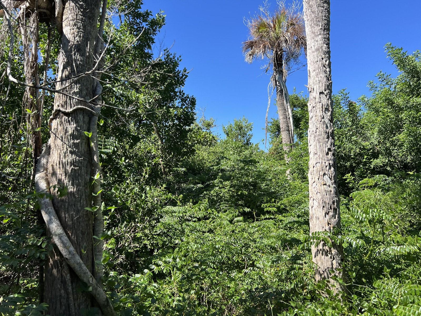 10048 HEL-LEW COURT, Placida, FL 33946