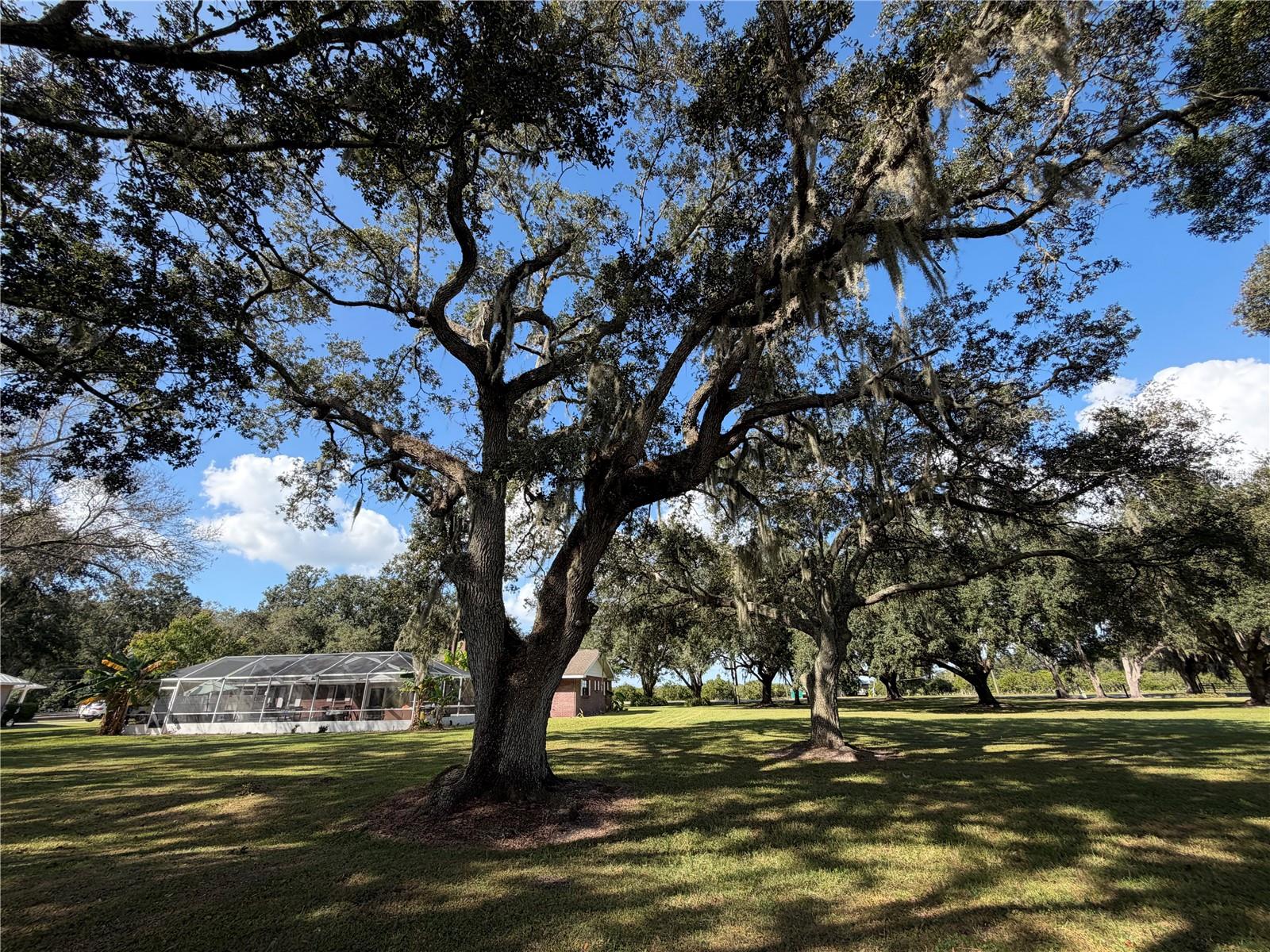 3529 SE COUNTY ROAD 760, Arcadia, FL 34266