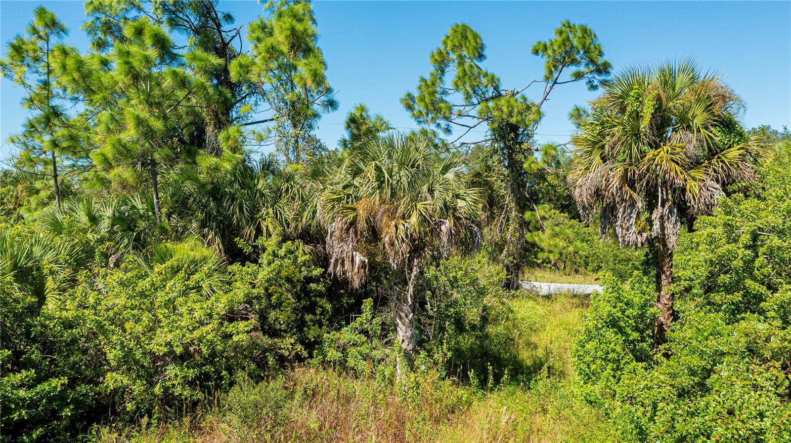 1444 EPPINGER DRIVE, Port Charlotte, FL 33953