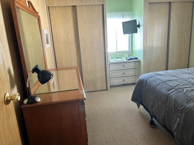 Guest Bedroom dual closets