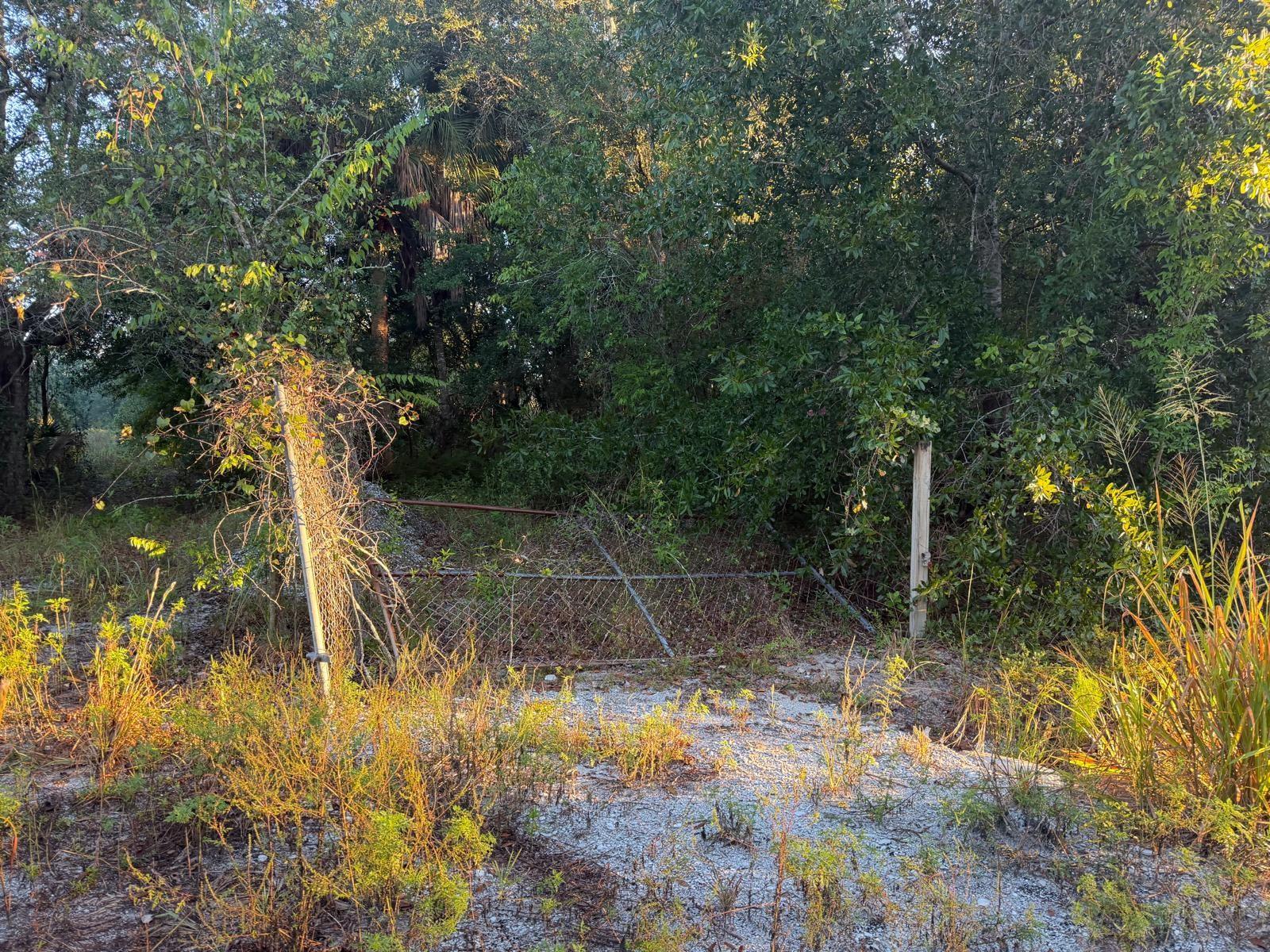 19835 NW 298TH STREET, Okeechobee, FL 34972 19835 NW 298TH STREET, Okeechobee, FL 34972