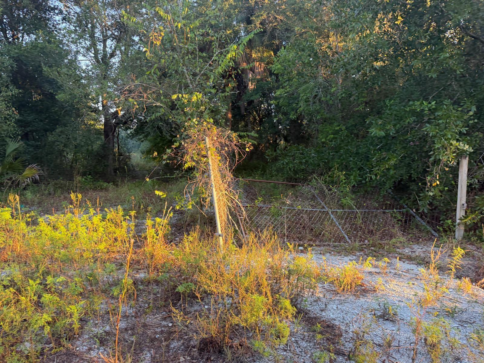19835 NW 298TH STREET, Okeechobee, FL 34972