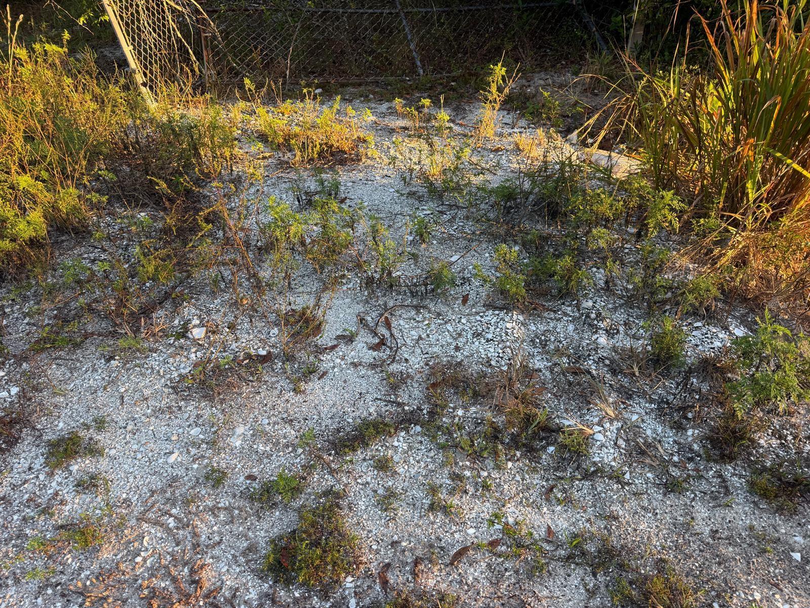 19835 NW 298TH STREET, Okeechobee, FL 34972