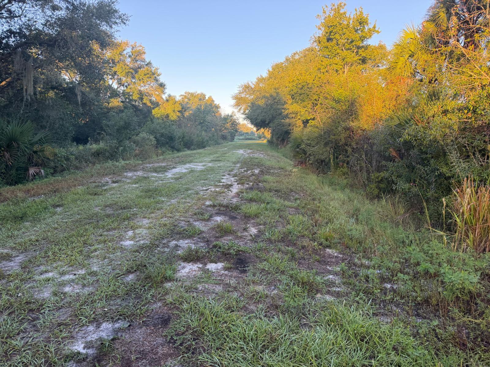 19835 NW 298TH STREET, Okeechobee, FL 34972