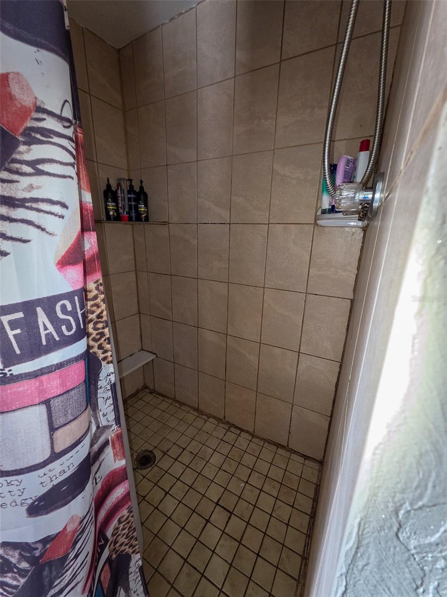 Primary Shower