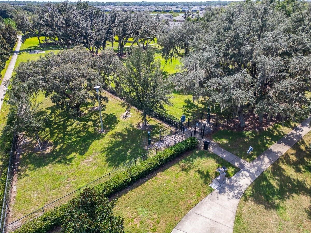 12961 SATIN LILY DRIVE, Riverview, FL 33579