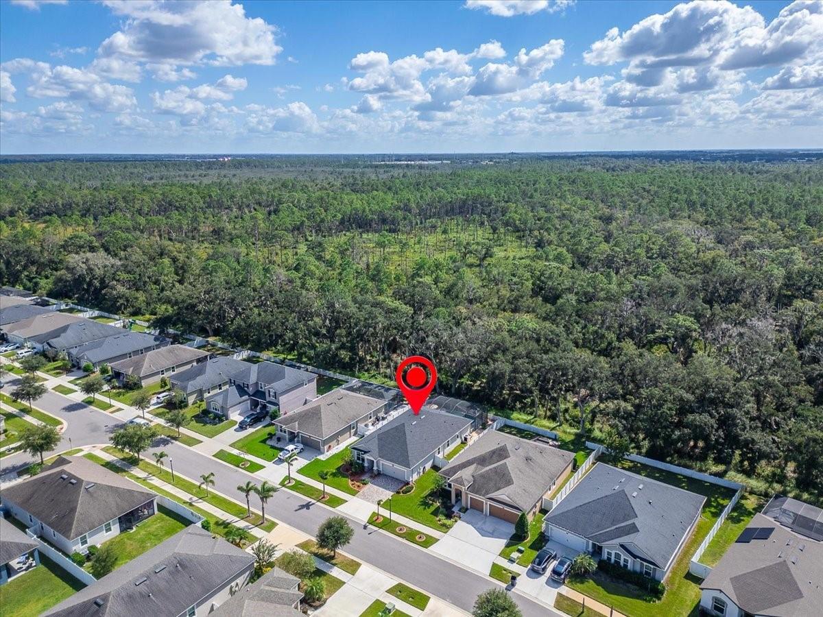 12961 SATIN LILY DRIVE, Riverview, FL 33579