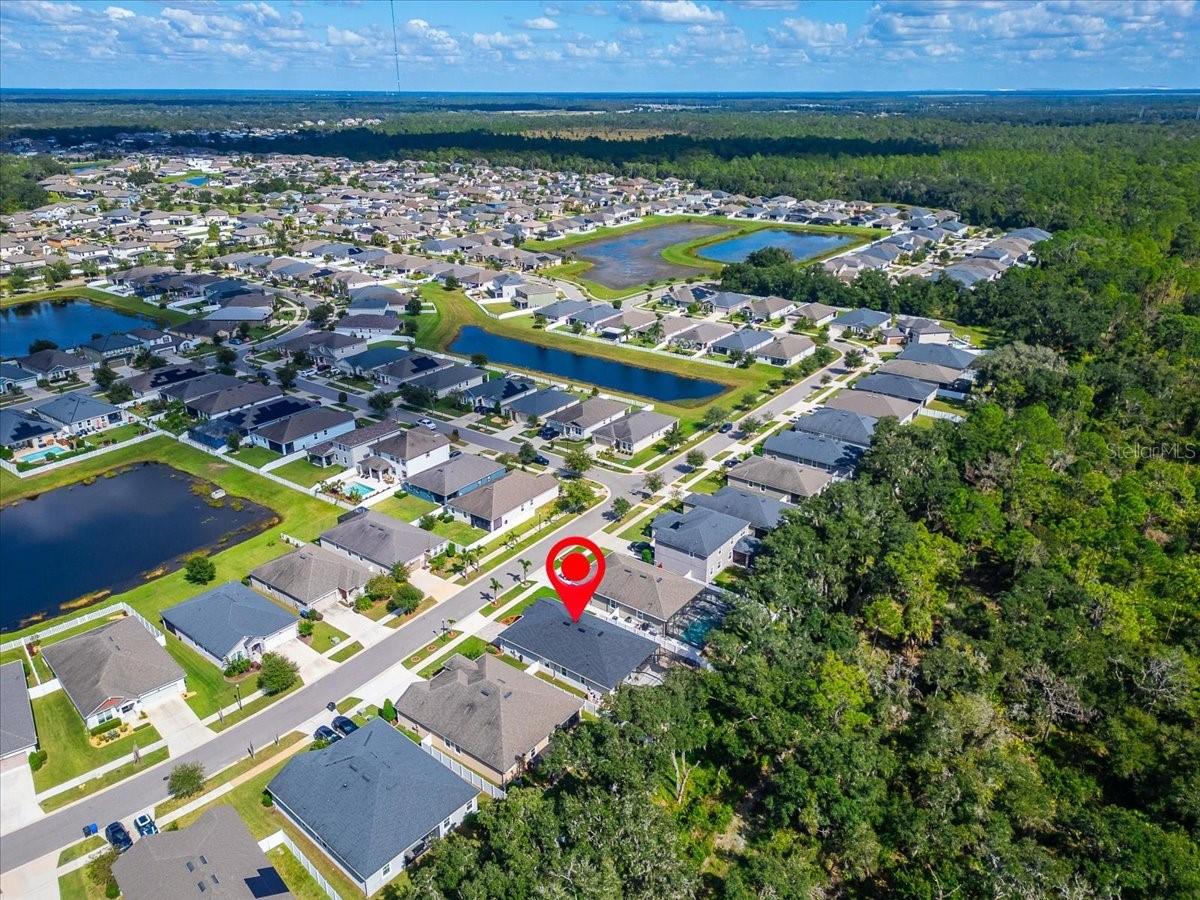 12961 SATIN LILY DRIVE, Riverview, FL 33579