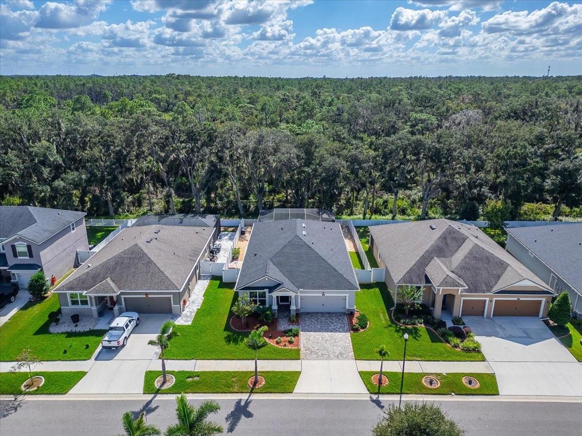 12961 SATIN LILY DRIVE, Riverview, FL 33579