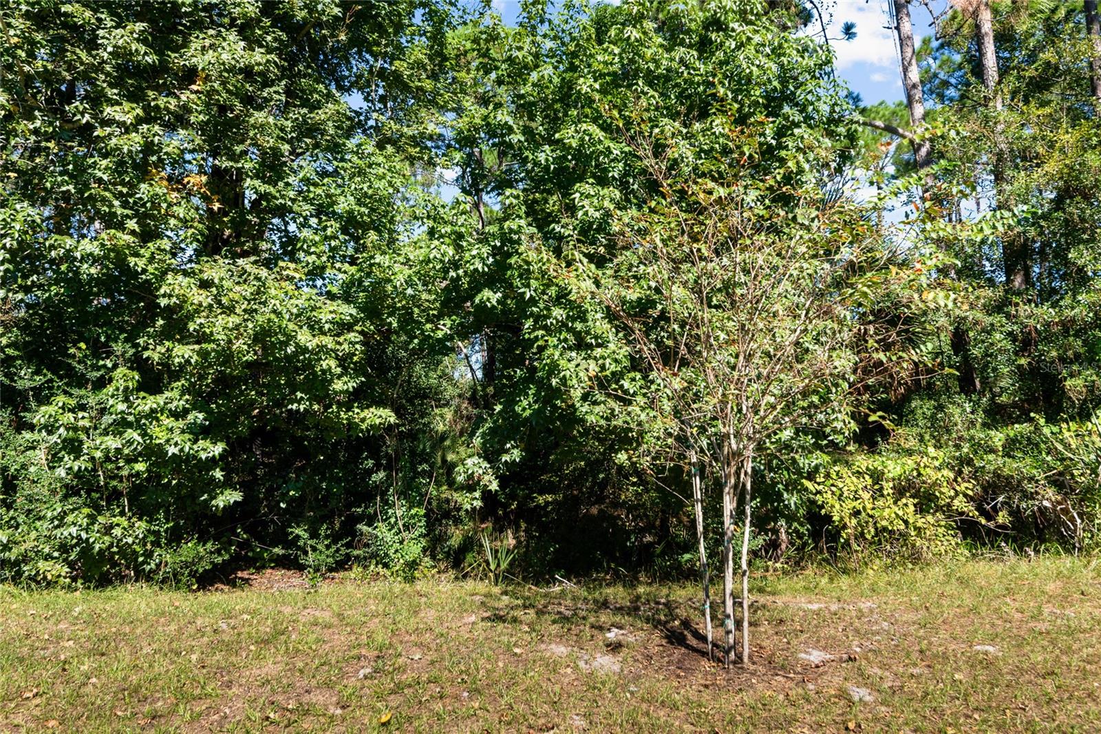 166 SECRETARY TRAIL, Palm Coast, FL 32164