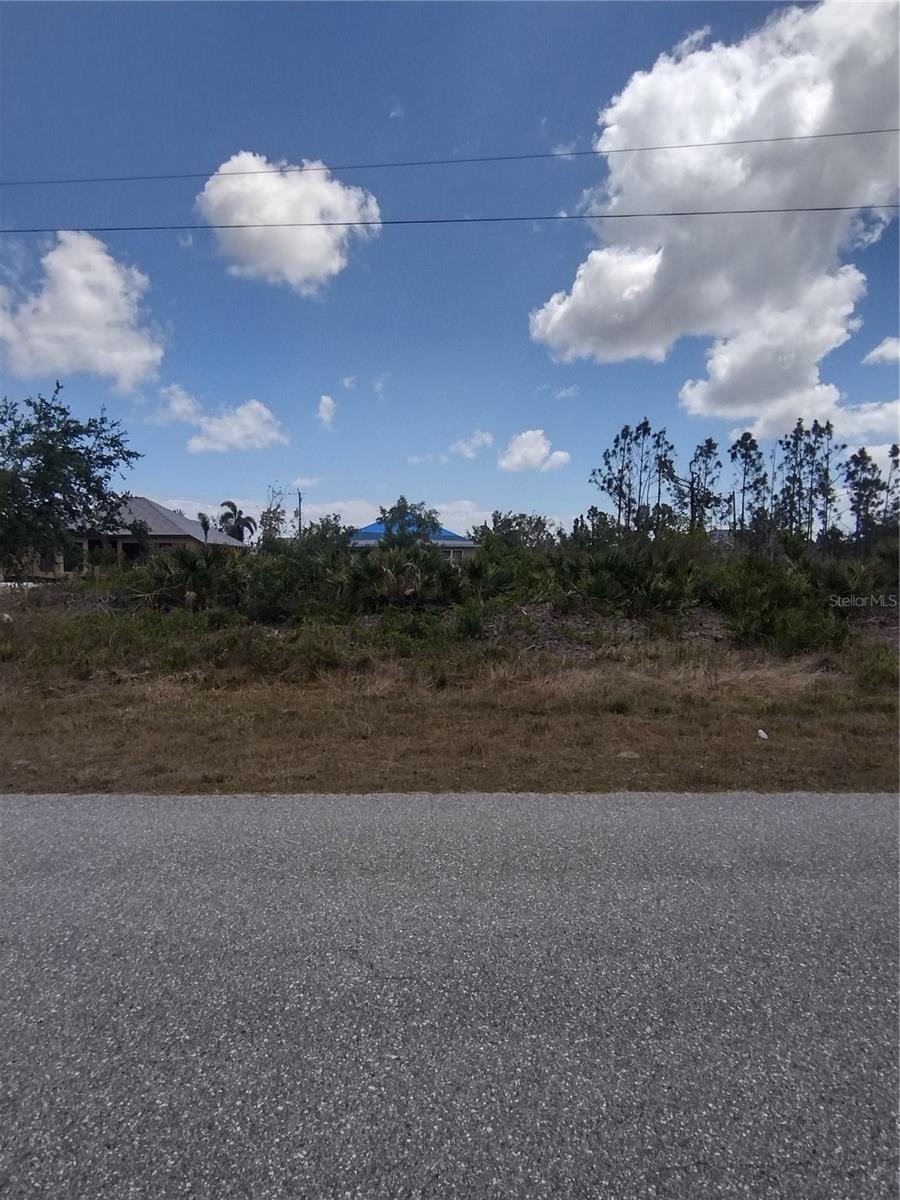 View from the road