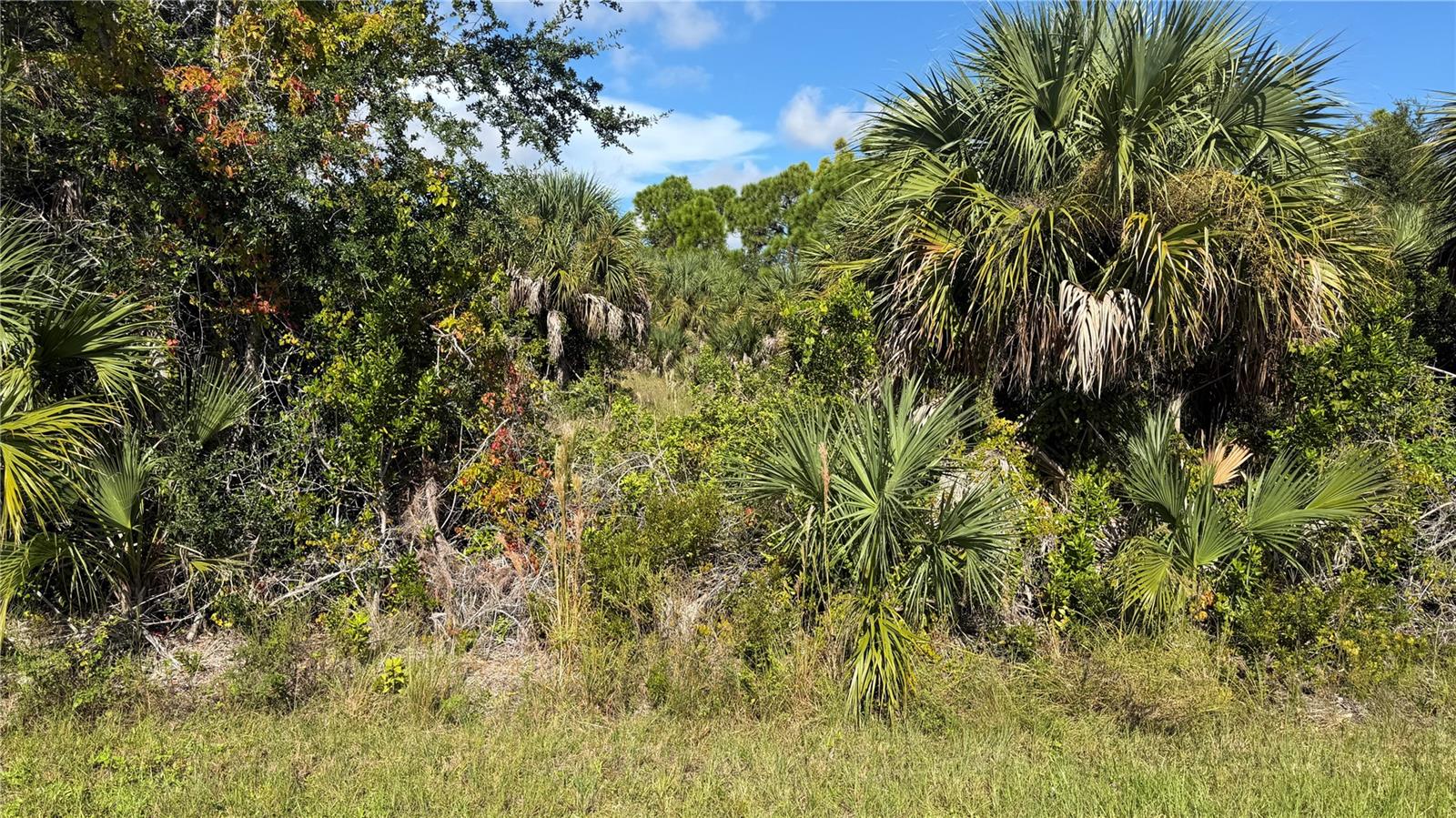 9267 IMPALA CIRCLE, Port Charlotte, FL 33981