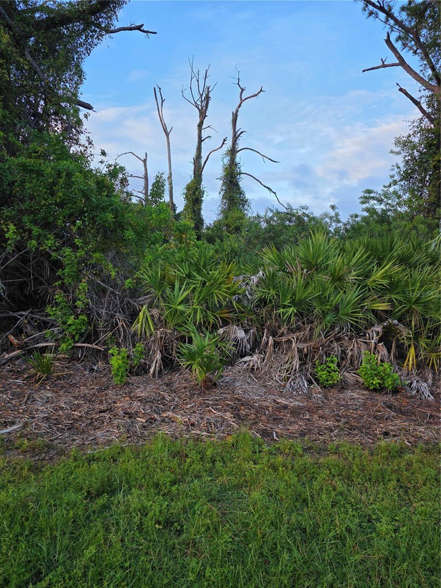 13488 DRYSDALE AVENUE, Port Charlotte, FL 33981 13488 DRYSDALE AVENUE, Port Charlotte, FL 33981