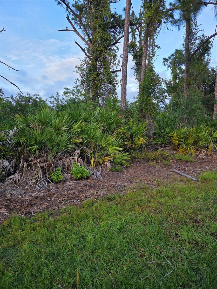 13488 DRYSDALE AVENUE, Port Charlotte, FL 33981 13488 DRYSDALE AVENUE, Port Charlotte, FL 33981