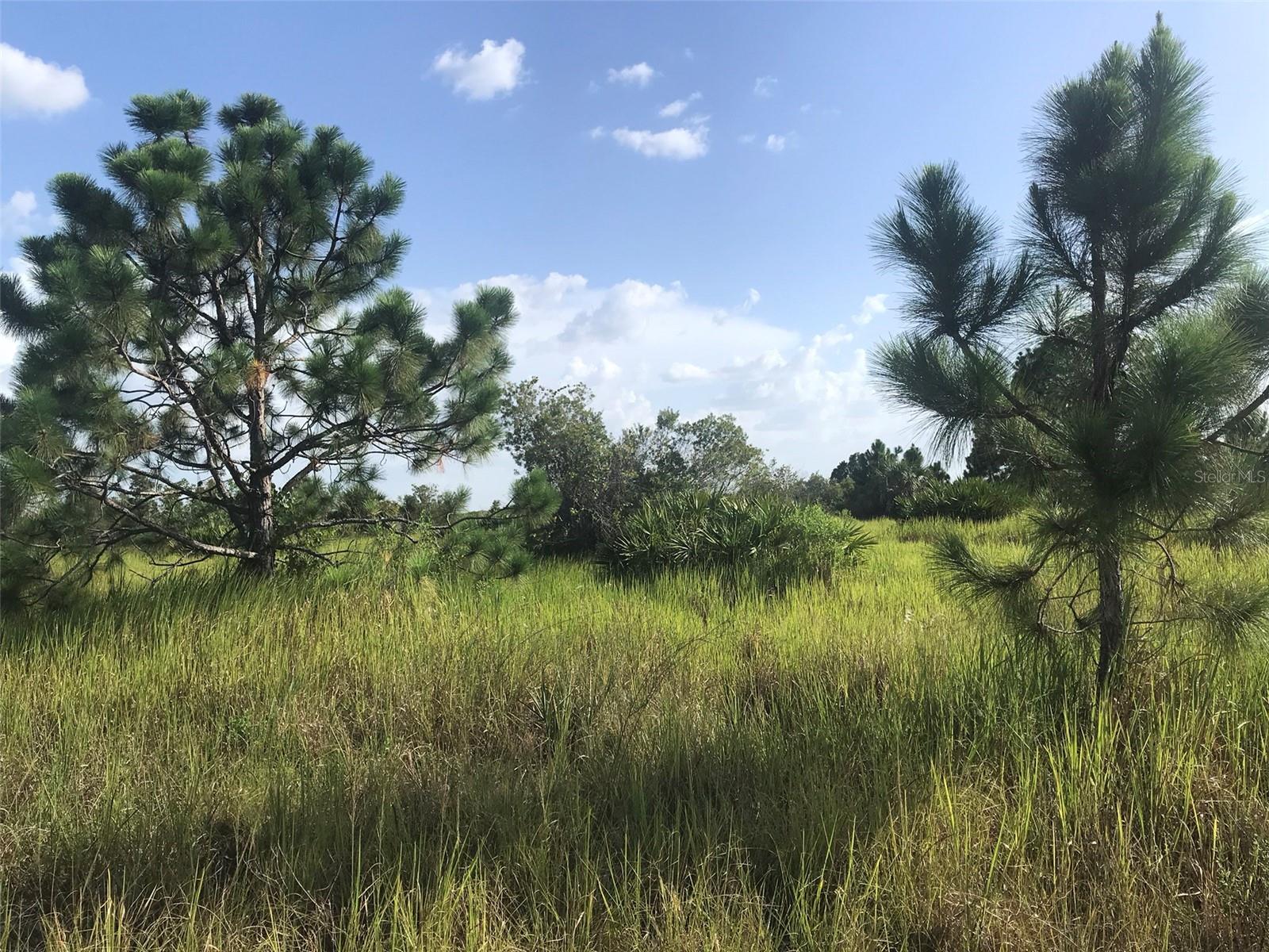 North end of the 70 acres.
