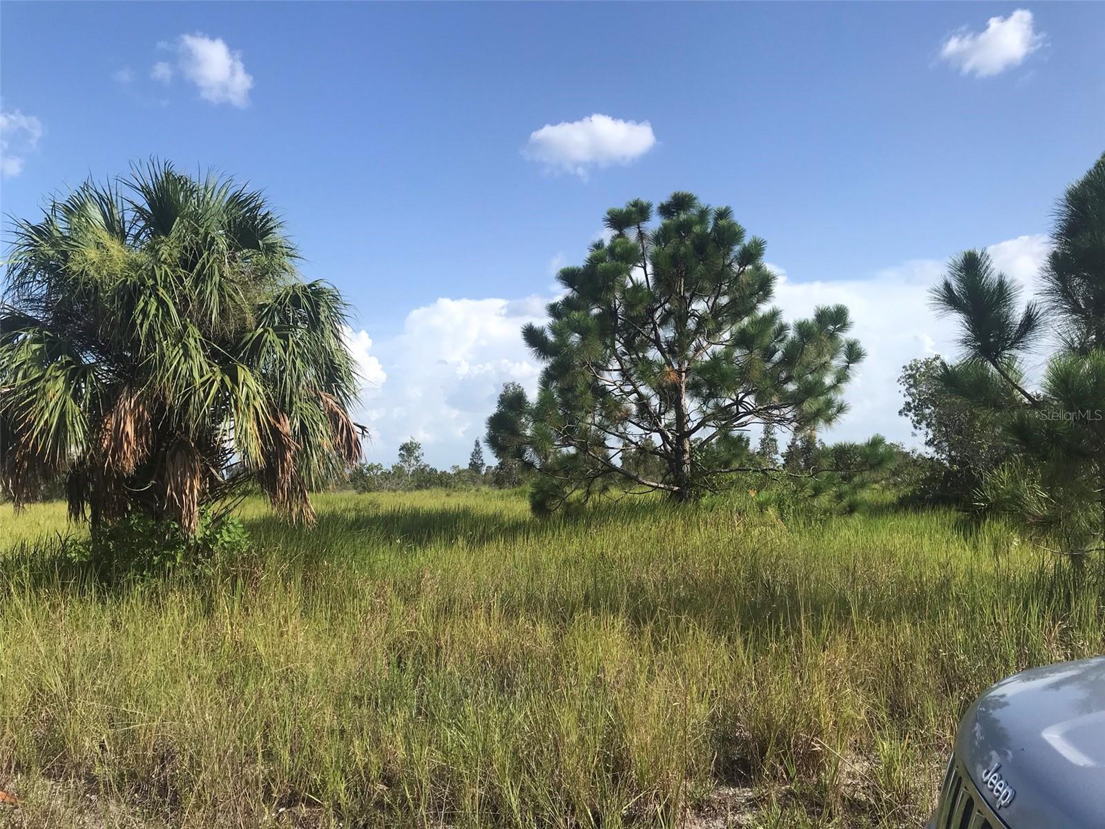 North end of the 70 acres.