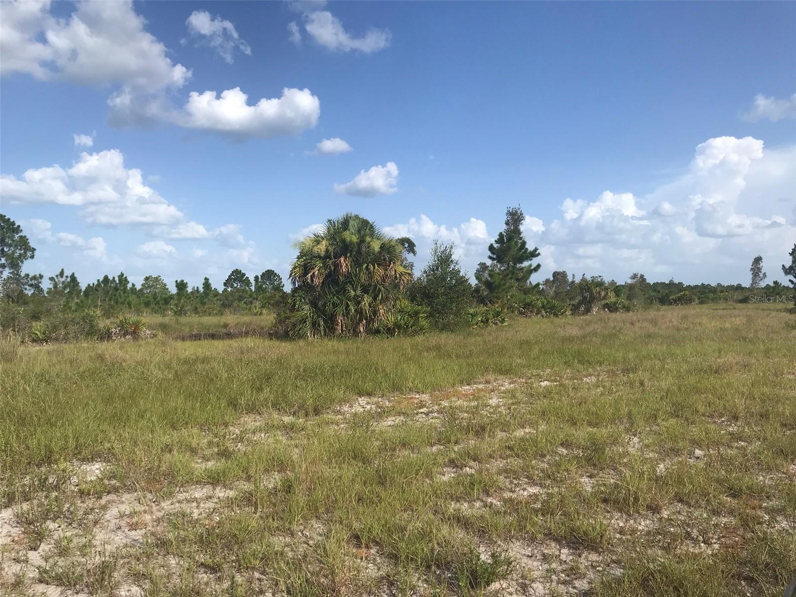 North end of the 70 acres.