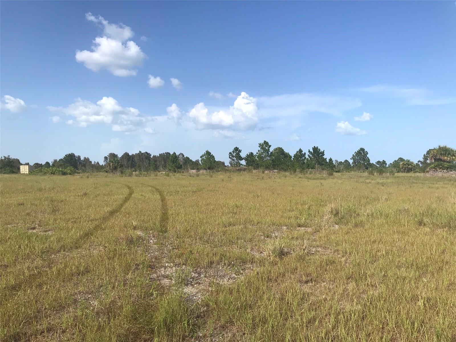 Pasture north of the lake.