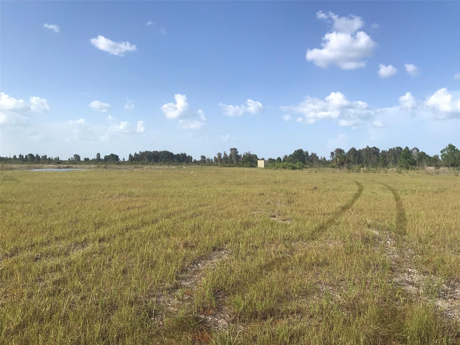 Pasture north of the lake.
