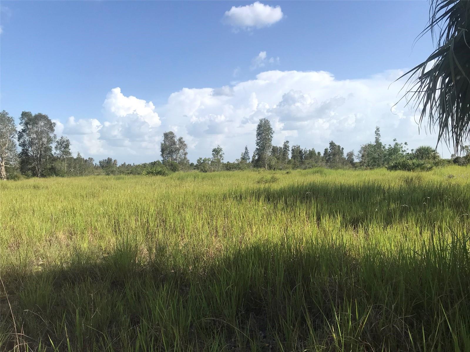North end of the 70 acres.