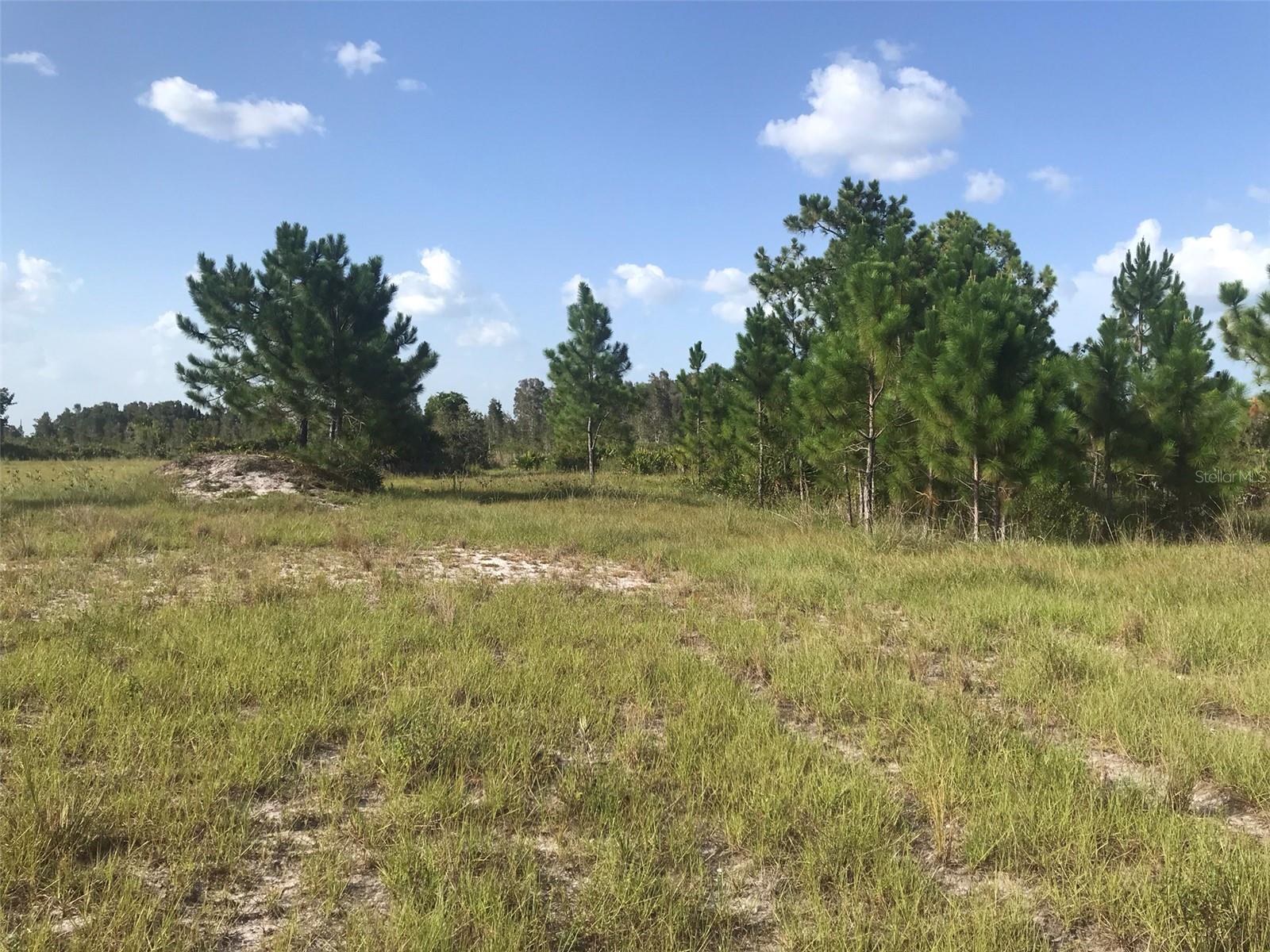 North end of the 70 acres.