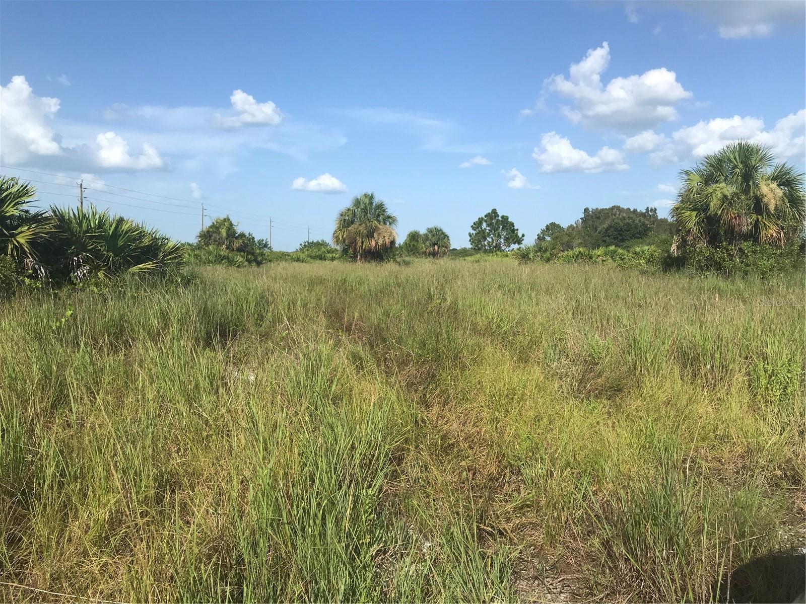 Grass lands on north end of 70 acres.