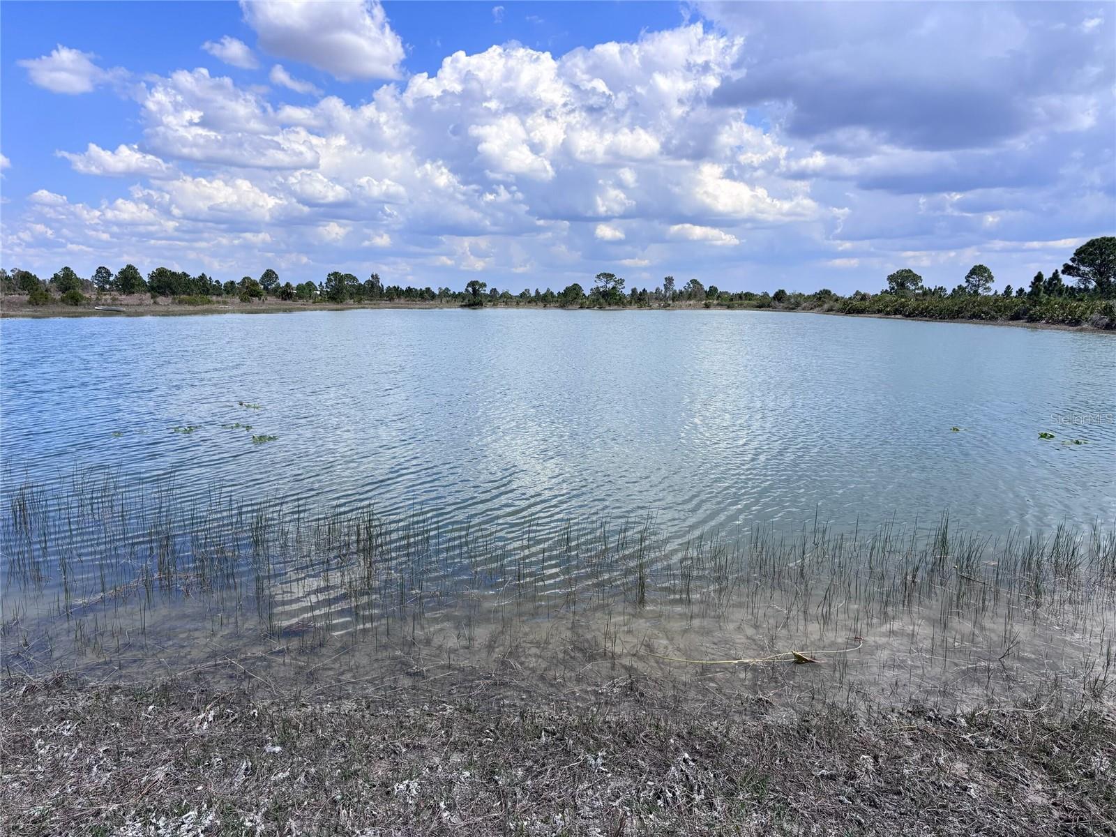 48091 BERMONT ROAD, Punta Gorda, FL 33982
