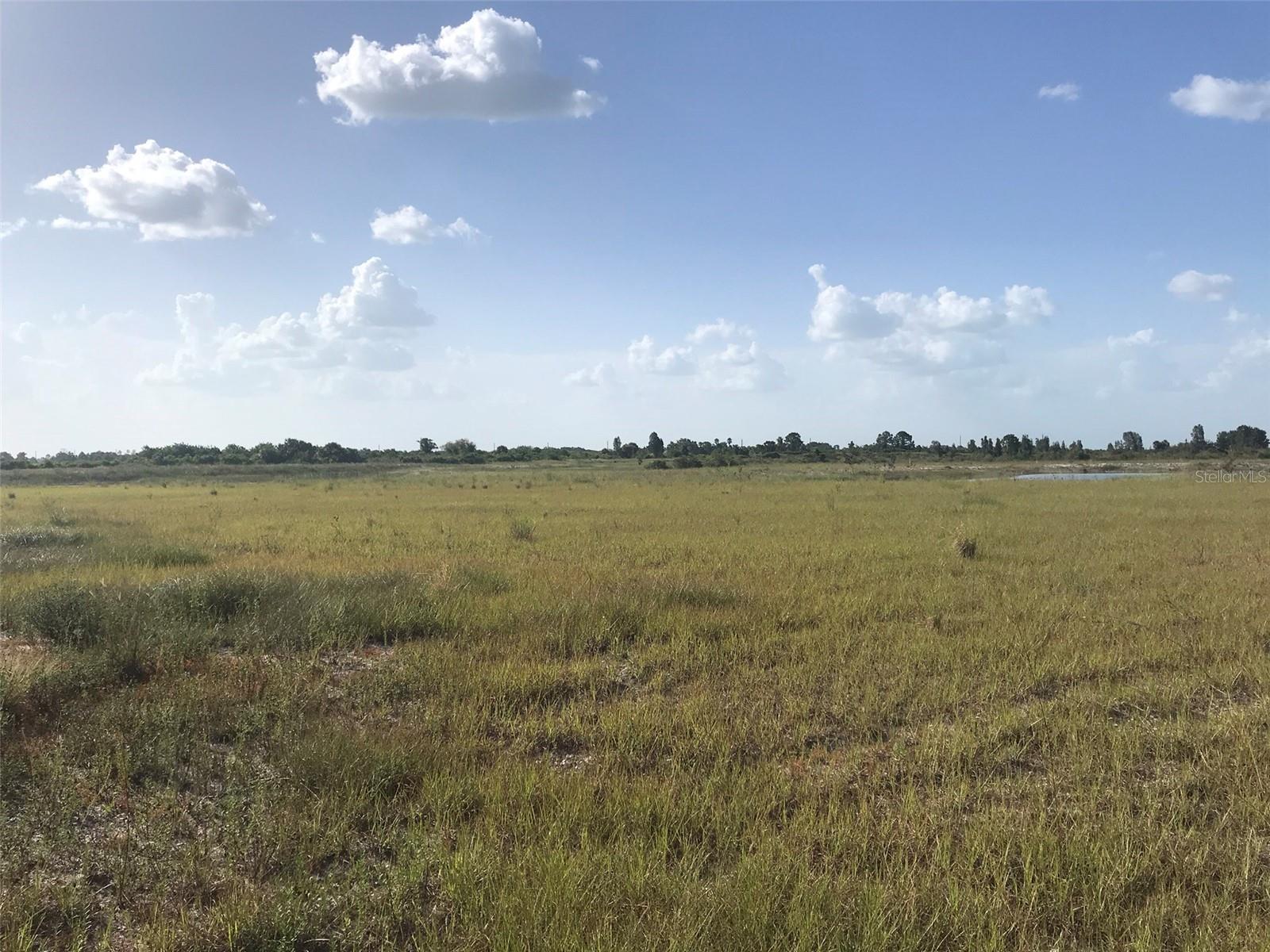 Pasture north of the lake.