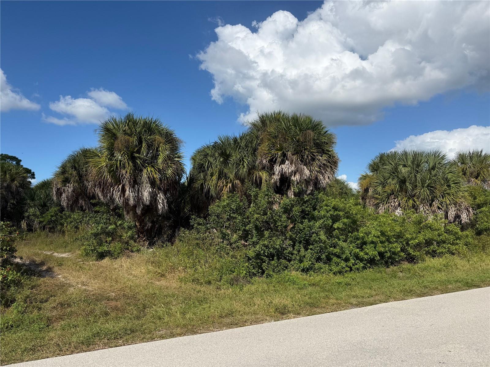 2375 MCPHEARSON DRIVE, Port Charlotte, FL 33953 2375 MCPHEARSON DRIVE, Port Charlotte, FL 33953