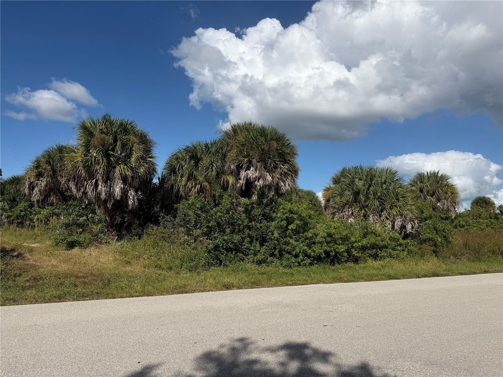 2375 MCPHEARSON DRIVE, Port Charlotte, FL 33953 2375 MCPHEARSON DRIVE, Port Charlotte, FL 33953