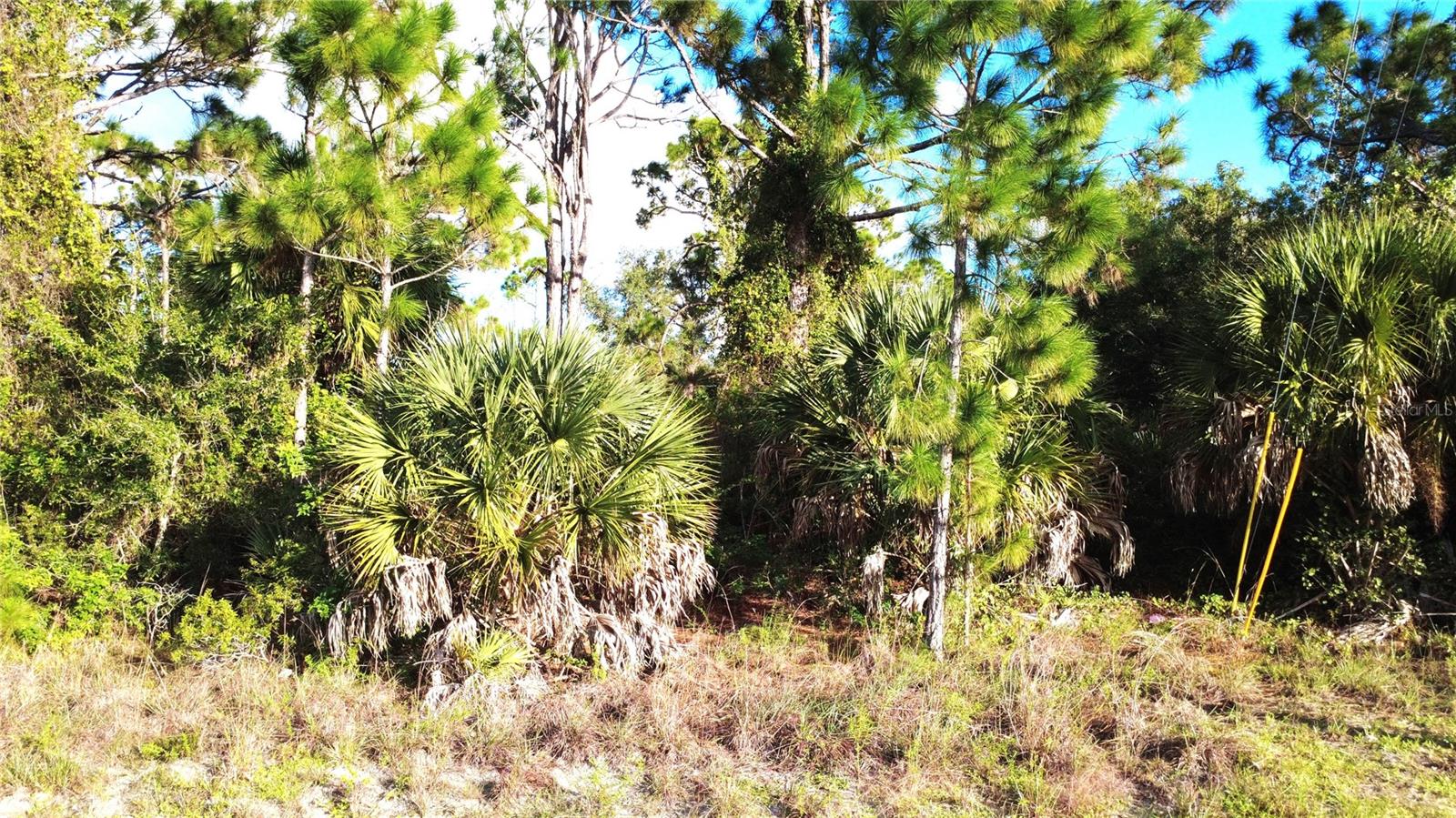 12443 GULFSTREAM BOULEVARD, Port Charlotte, FL 33981 12443 GULFSTREAM BOULEVARD, Port Charlotte, FL 33981