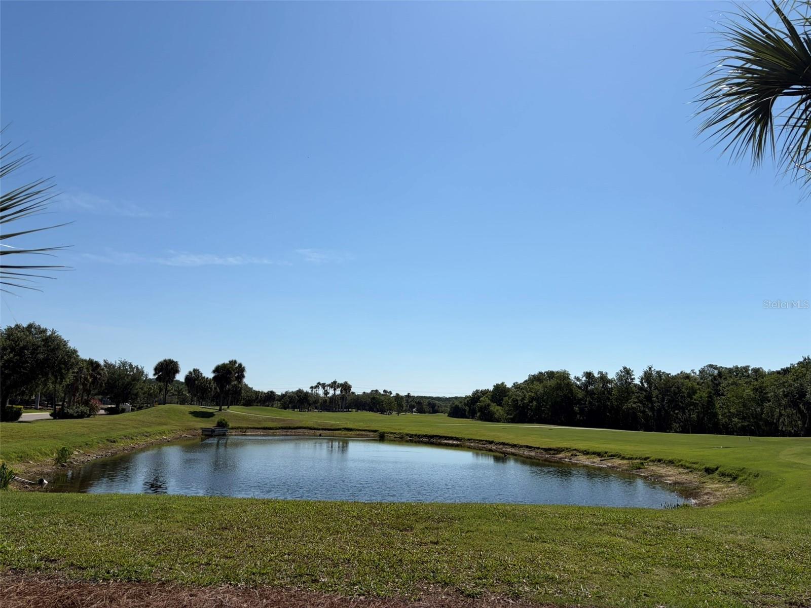 Golf Course & Pond View