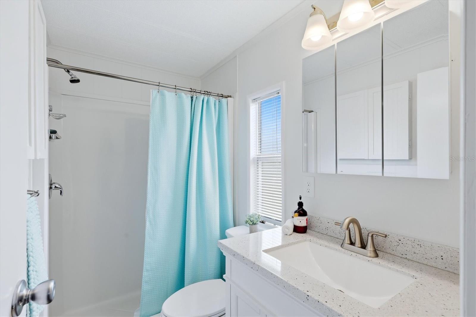 En-suite with natural light and walk in shower