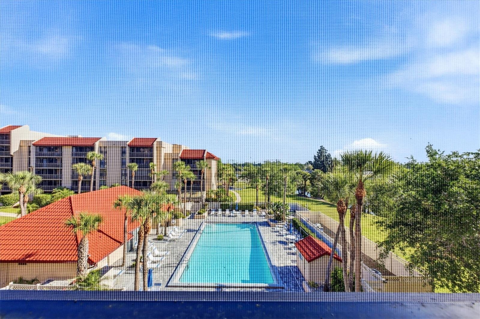 View of the Pool from Lanai