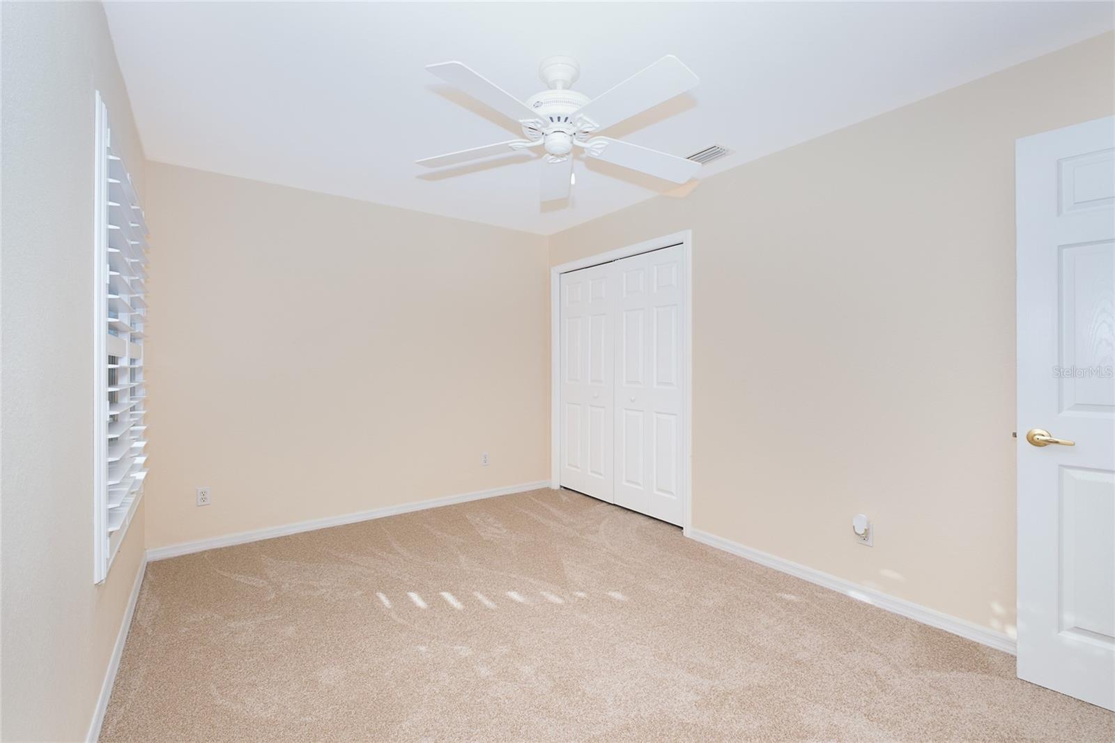 New Carpet