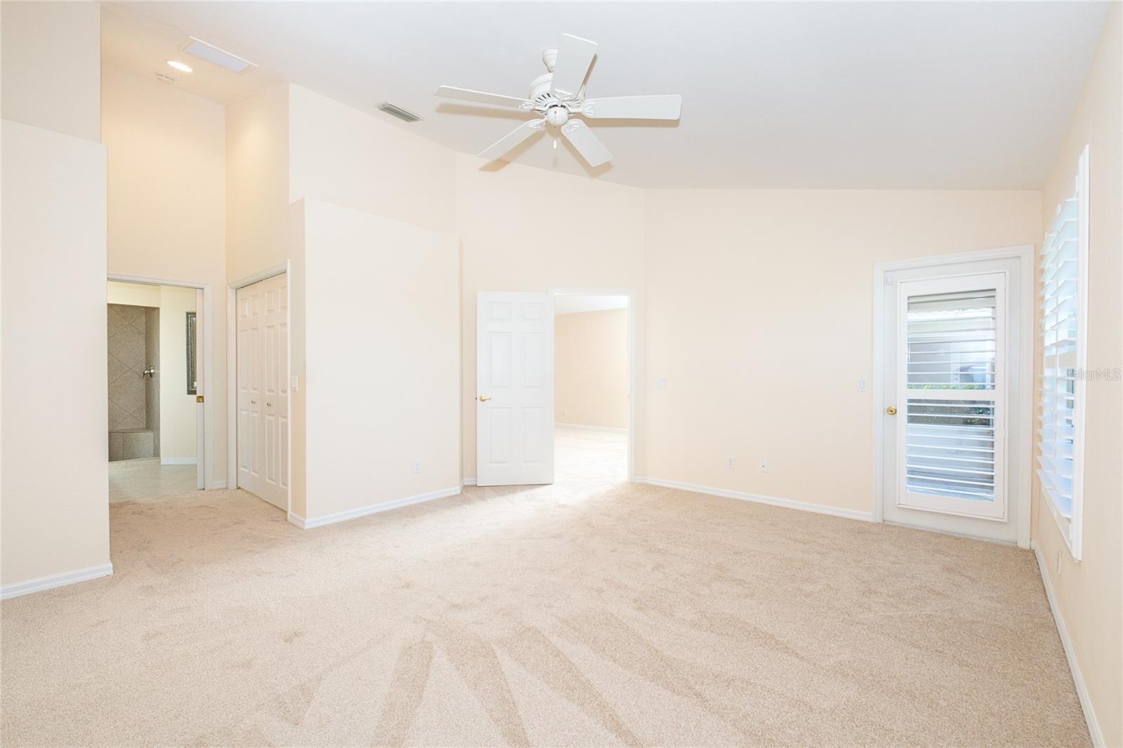 Brand New Carpet