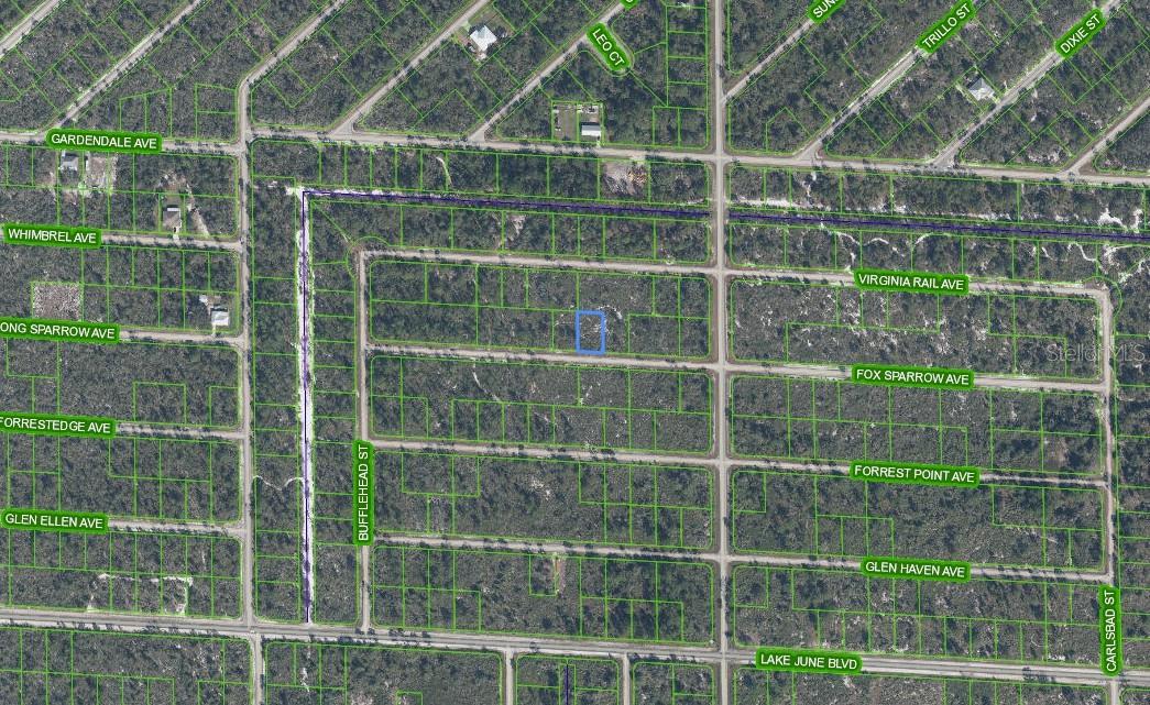 3509 SPOONBILL AVENUE, Lake Placid, FL 33852