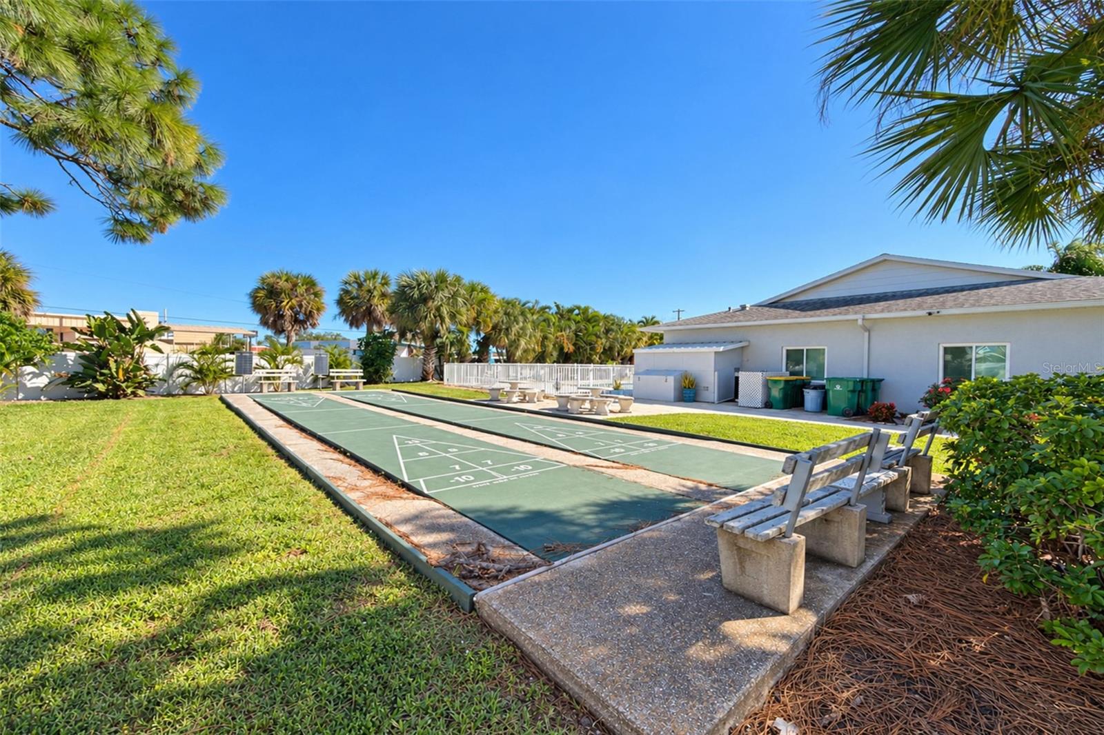 The Shuffleboard Court